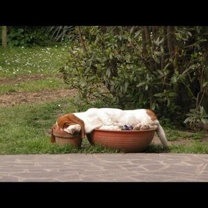 Meet your Posher, Nikolaus